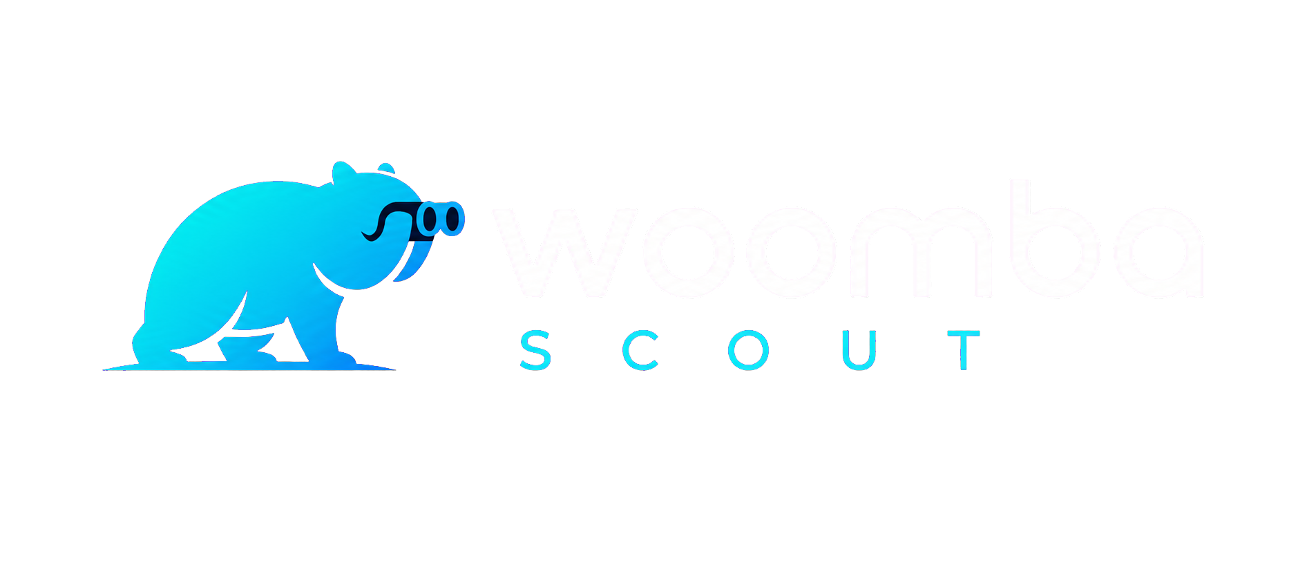 Woomba Scout